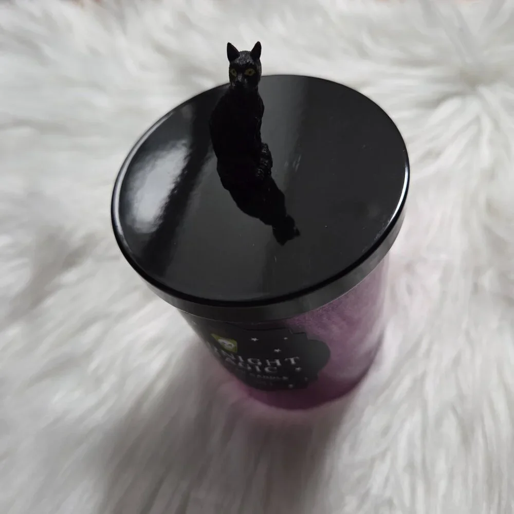 Celebrate Together Halloween Midnight Magic Glitter Candle